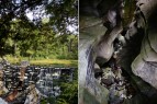 Natural Bridge State Park