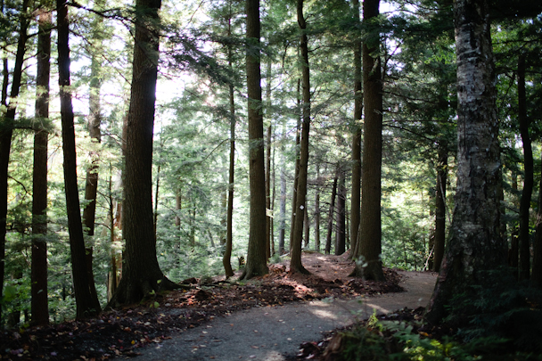 Stowe VT Trail