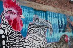 Asheville-Header