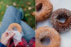 Cider Donuts at Orchard Hill Farm