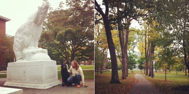 Fall at Bowdoin
