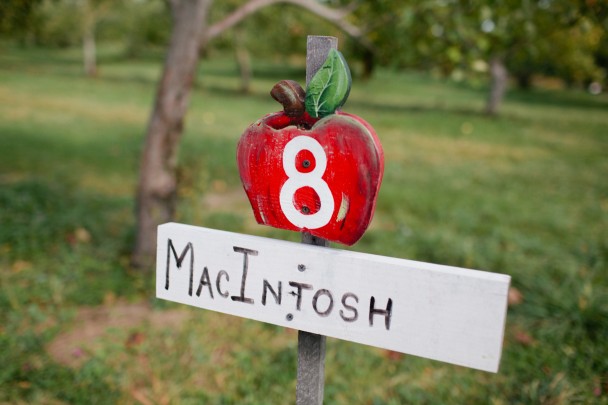 Orchard-Hill-Farm-Cumberland-ME Orchard Hill Farm Cumberland ME