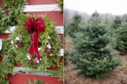 Old Farm Christmas Place