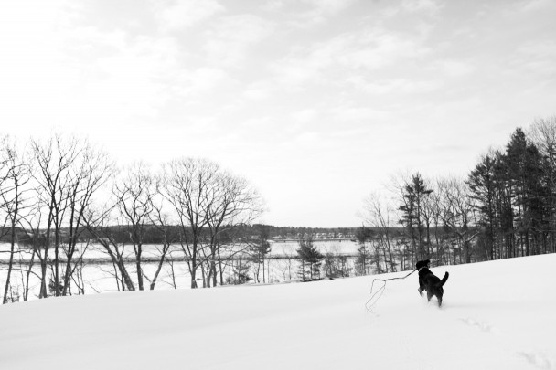 Orvis-on-Marianmade-Farm