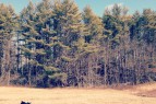 Orvis in Wiscasset