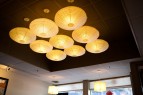 Suzuki's-Rockland