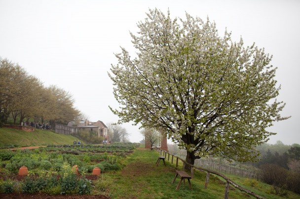Monticello Spring VA