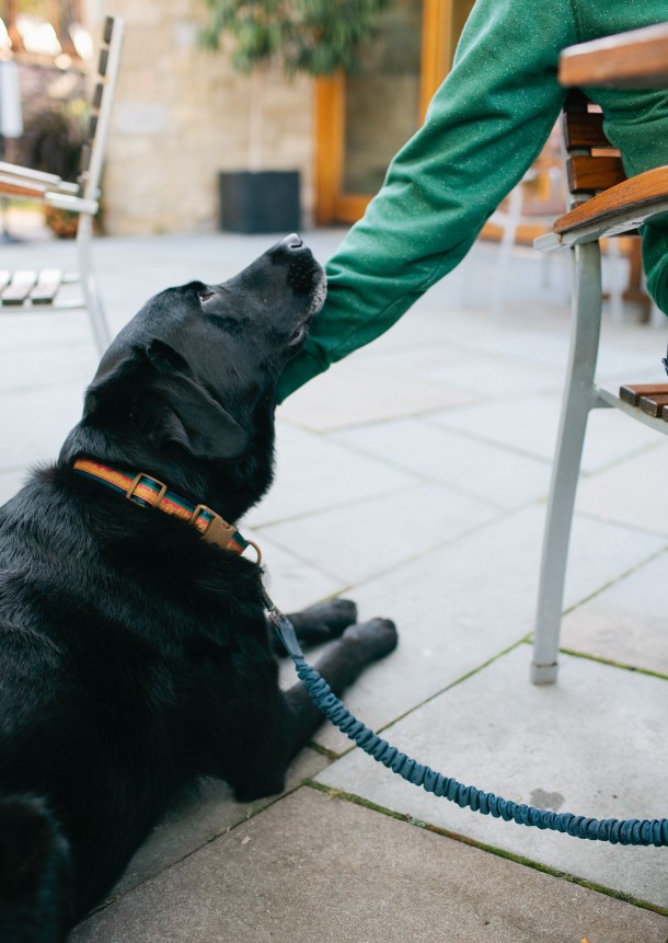 Topnotch Resort & Spa Map & Menu